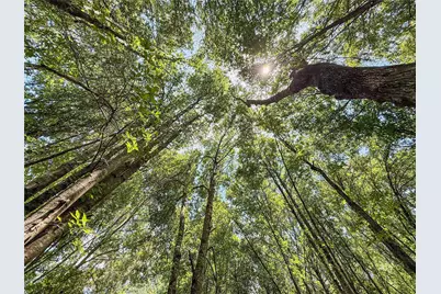 Tbd Hwy 69 N, Woodville, TX 75979 - Photo 15