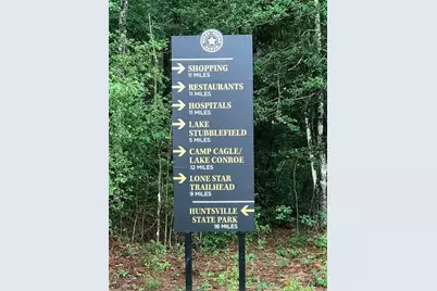 Lot 6 Inscription Lane, Huntsville, TX 77340 - Photo 3