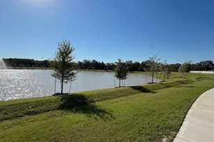 1017 Bluegill Ln, Alvin, TX 77511 - Photo 31