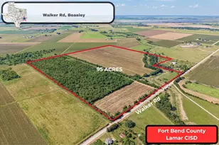 10542 Walker Rd, Beasley, TX 77417 - Photo 1