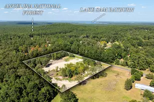 16124 FM 2109, Zavalla, TX 75980 - Photo 1