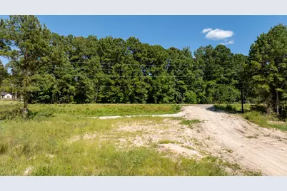 16124 Fm 2109, Zavalla, TX 75980 - Photo 3