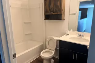 556 Black Alder St, Georgetown, TX 78626 - Photo 23