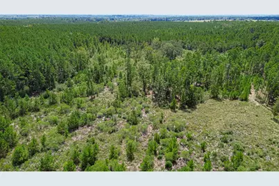 0 Cherokee Trail Trail, Lovelady, TX 75851 - Photo 27