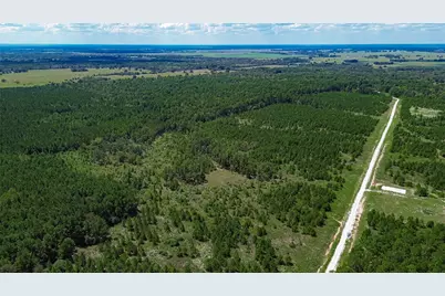 0 Cherokee Trail Trail, Lovelady, TX 75851 - Photo 17