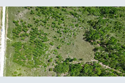 0 Cherokee Trail Trail, Lovelady, TX 75851 - Photo 15