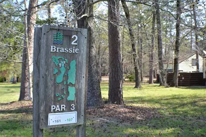 30 Putters Point W, Huntsville, TX 77340 - Photo 17