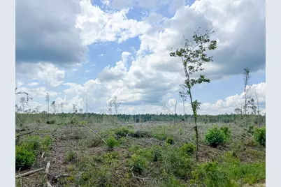 1 Old Honey Island Road, Kountze, TX 77625 - Photo 7