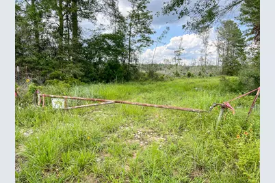 1 Old Honey Island Road, Kountze, TX 77625 - Photo 3