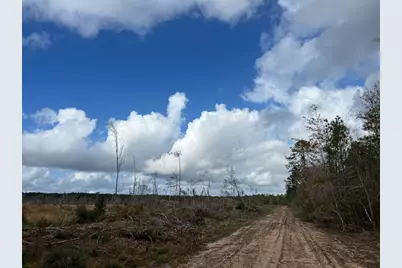 1 Old Honey Island Road, Kountze, TX 77625 - Photo 13