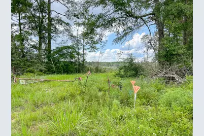 1 Old Honey Island Road, Kountze, TX 77625 - Photo 5
