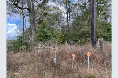 1 Old Honey Island Road, Kountze, TX 77625 - Photo 11