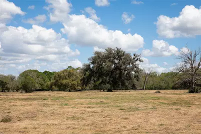 14.5 Acres Cr 320, Brazoria, TX 77422 - Photo 3