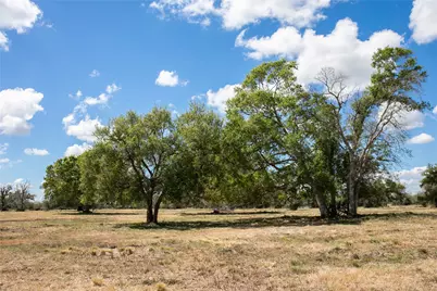 14.5 Acres Cr 320, Brazoria, TX 77422 - Photo 11