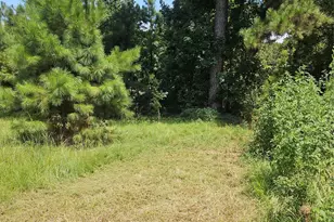 207 County Rd 2210, Cleveland, TX 77327 - Photo 1