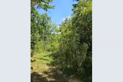 207 County Road 2210, Cleveland, TX 77327 - Photo 9