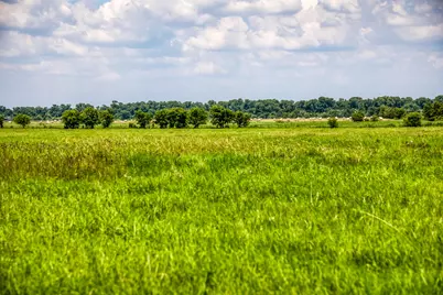 000 Egypt Lane, Washington, TX 77880 - Photo 13
