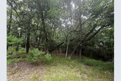 18 Timberon Lane, Coldspring, TX 77331 - Photo 3