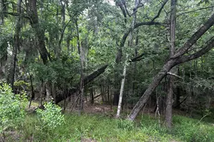 18 Timberon Ln, Coldspring, TX 77331 - Photo 1