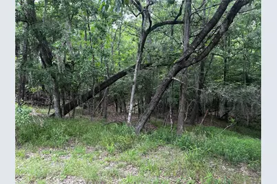 18 Timberon Lane, Coldspring, TX 77331 - Photo 5