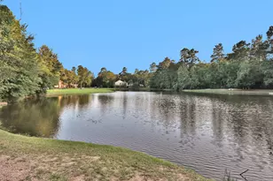 34 E Copper Sage Cir, The Woodlands, TX 77381 - Photo 47
