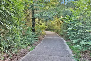 34 E Copper Sage Cir, The Woodlands, TX 77381 - Photo 43
