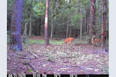 516 County Road 4800, Warren, TX 77664 - Photo 49