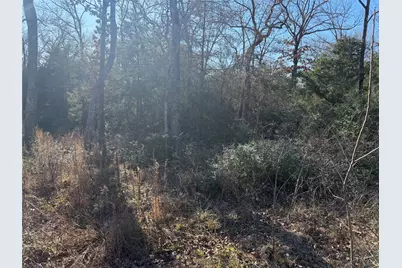 Lot 29 Cr 389, Jewett, TX 75846 - Photo 13