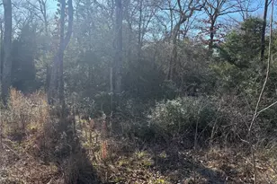 Lot 29 Cr 389, Jewett, TX 75846 - Photo 13