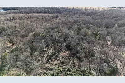 Lot 29 Cr 389, Jewett, TX 75846 - Photo 21