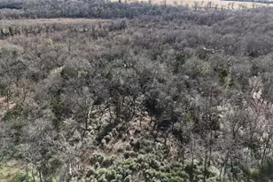 Lot 29 Cr 389, Jewett, TX 75846 - Photo 21