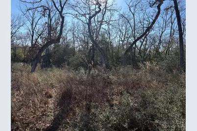 Lot 29 Cr 389, Jewett, TX 75846 - Photo 7