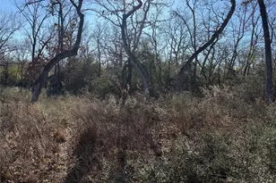 Lot 29 Cr 389, Jewett, TX 75846 - Photo 7