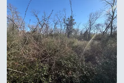 Lot 29 Cr 389, Jewett, TX 75846 - Photo 11