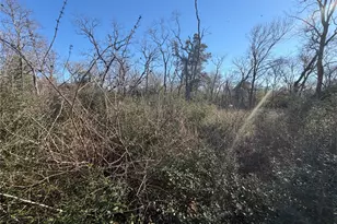 Lot 29 Cr 389, Jewett, TX 75846 - Photo 11