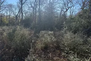 Lot 29 Cr 389, Jewett, TX 75846 - Photo 9