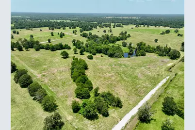 6293 County Road 216, Richards, TX 77873 - Photo 9