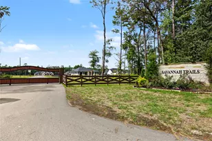 15036 Tybee Ln, Conroe, TX 77306 - Photo 3