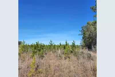 26827 Us-59 Road, Corrigan, TX 75939 - Photo 3