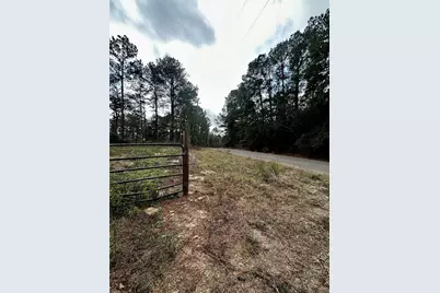 15238 Crape Myrtle Lane, Navasota, TX 77868 - Photo 9