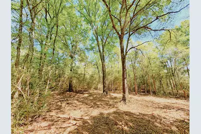 000 Cr 3495, Lovelady, TX 75851 - Photo 15