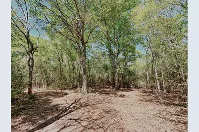 000 Cr 3495, Lovelady, TX 75851 - Photo 13