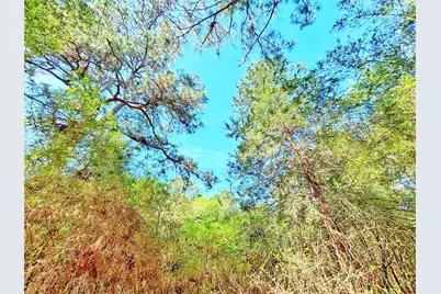 000 Cr 3495, Lovelady, TX 75851 - Photo 7