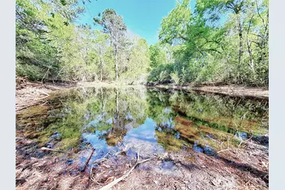 000 Cr 3495, Lovelady, TX 75851 - Photo 11