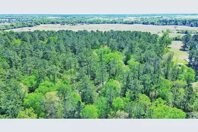 000 Cr 3495, Lovelady, TX 75851 - Photo 19