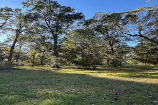 10699 Magnolia Dr, Conroe, TX 77303 - Photo 5