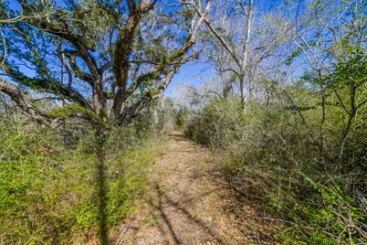 314 County Road 904, Alvin, TX 77511 - Photo 15