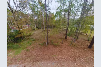 0 L Denson Road, Coldspring, TX 77331 - Photo 5
