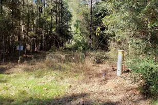 000 County Road 2097, Liberty, TX 77575 - Photo 1