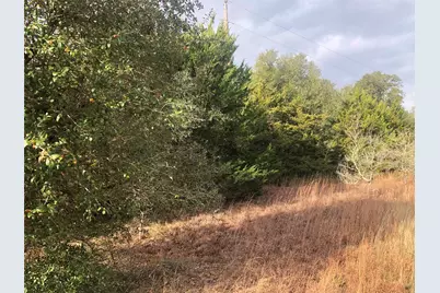 0 Sierra Road, Brenham, TX 77833 - Photo 3